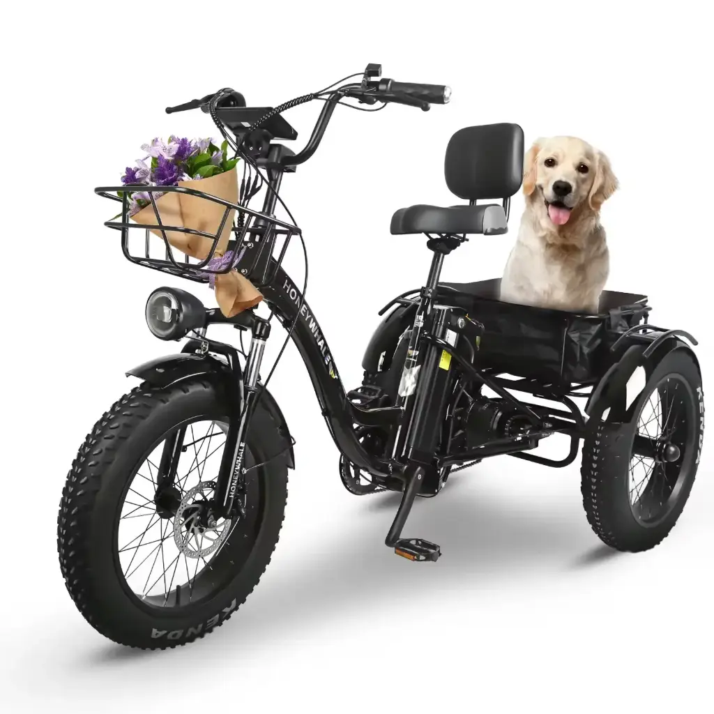 Honey Whale Bicicleta Eléctrica S13 Negro