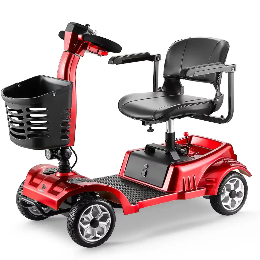 Honey Whale Motobici Eléctrica MZ023