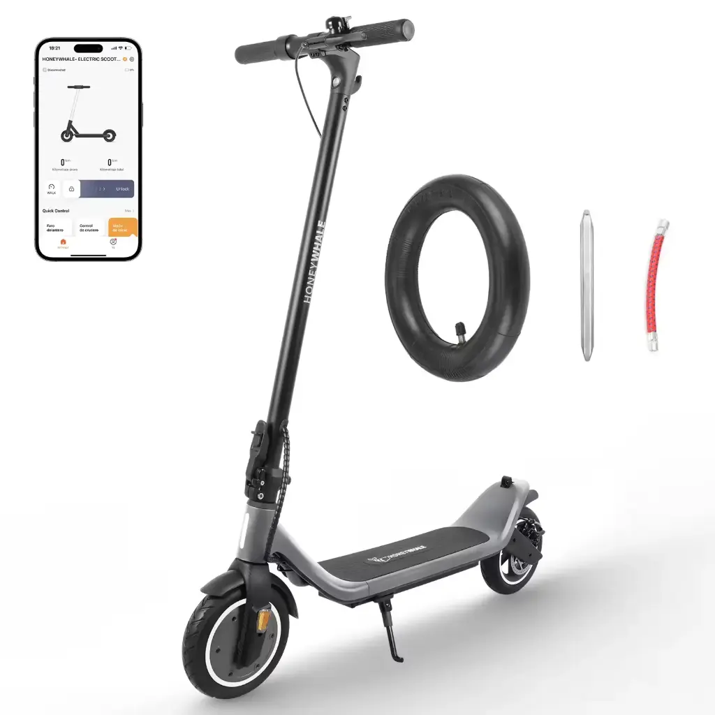 Honey Whale Scooter M1 Gris