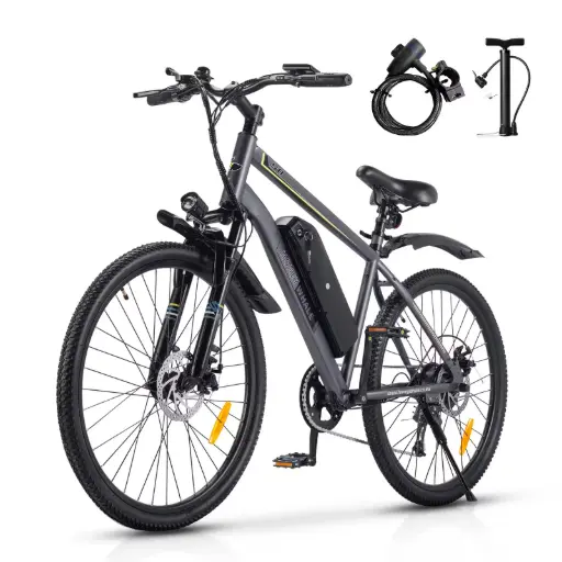 [HW-28544] Honey Whale Bicicleta Eléctrica S8 Gris