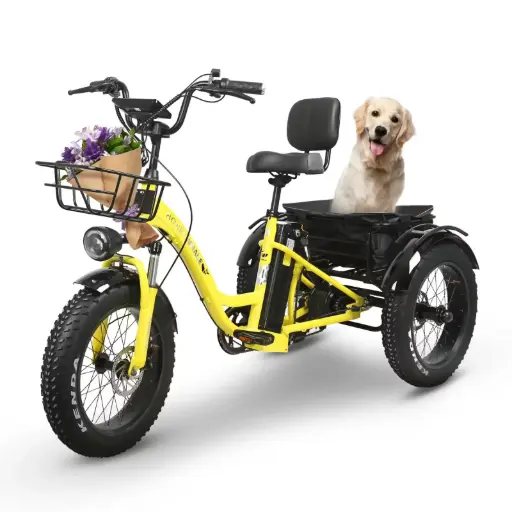 [HW-49822] Honey Whale Bicicleta Eléctrica S13 Amarillo