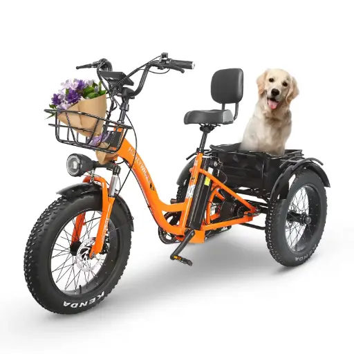 [HW-42987] Honey Whale Bicicleta Eléctrica S13 Naranja