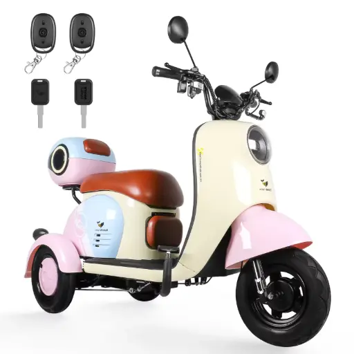 [HW-19682] Honey Whale Motobici Eléctrica V1 Rosa